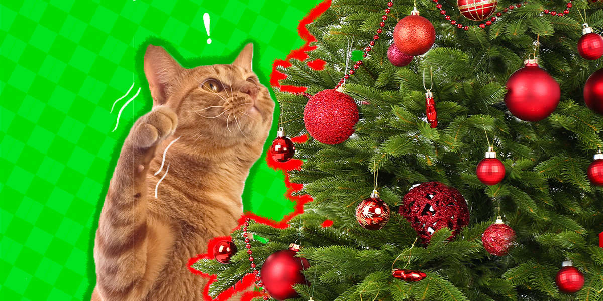 CAT BLACK-SHATTERPROOF! Christmas Ornament 