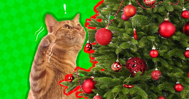 cat proofing your christmas tree