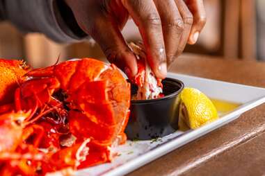 Harbor Crab