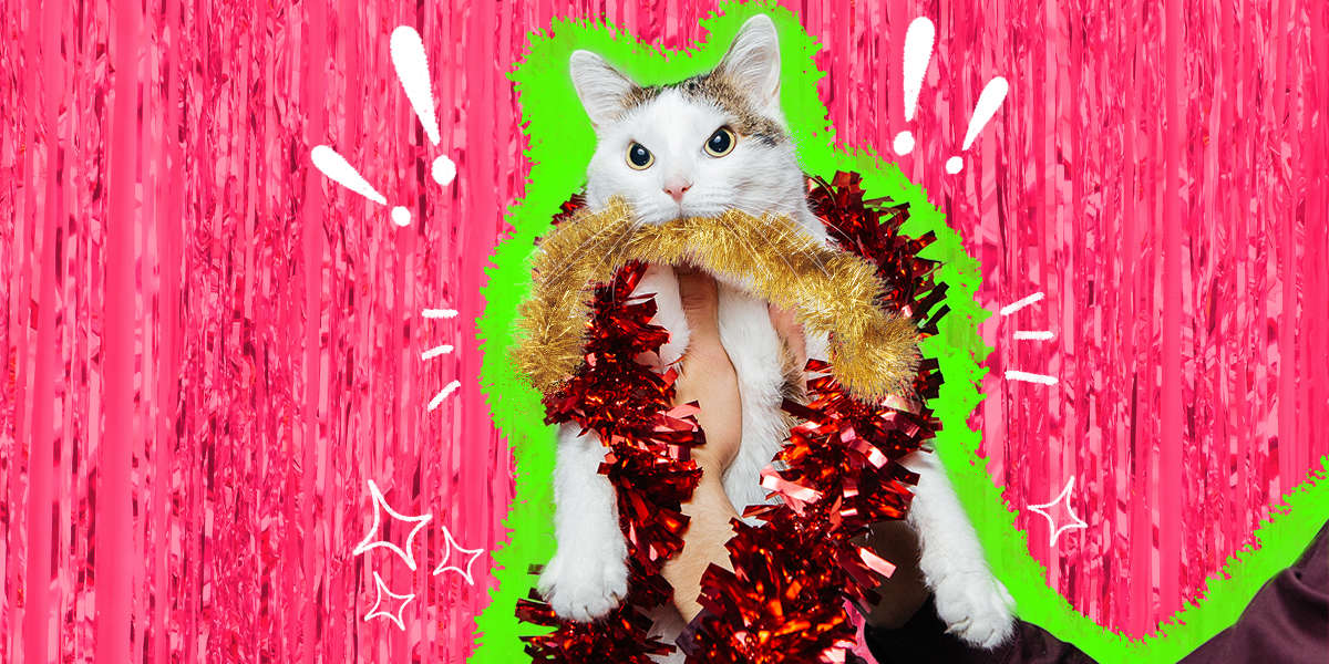 Dog Or Cat Ate Tinsel? A Vet Explains Why It’s An Emergency DodoWell