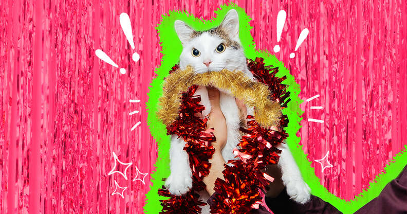 cat ate tinsel