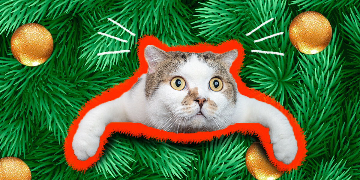 What? Cat Knocking Over Christmas Tree - Pin, Magnet or Badge Holder