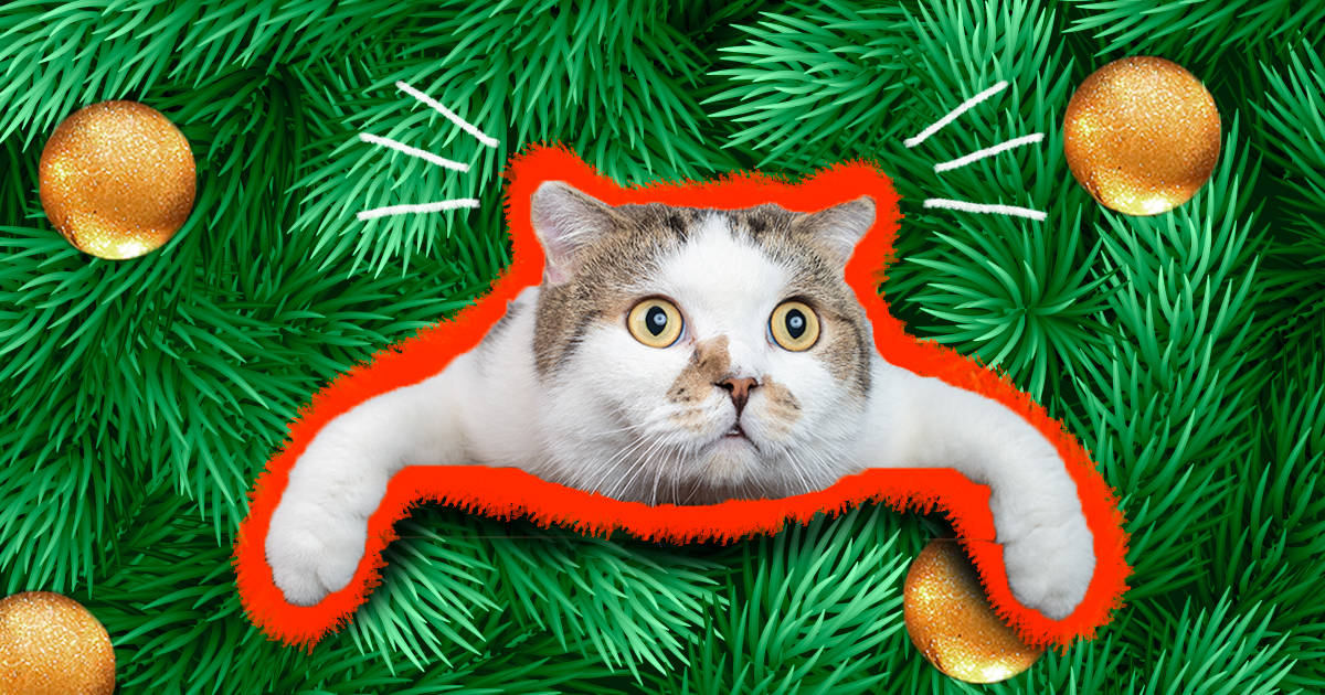 Christmas tree hotsell deterrents cats