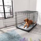 42-Inch Double Door Collapsible Wire Dog Crate & Mat