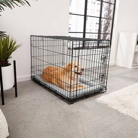 Can I crate my dog for 12 hours? - SpiritDog Training