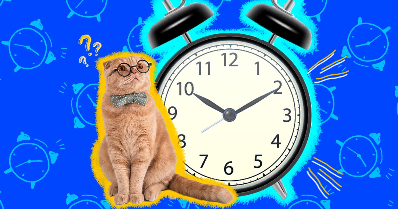 Can Cats Tell Time? DodoWell The Dodo
