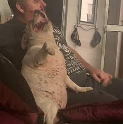 dog cuddling with dad