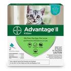 Flea Treatment for Kittens