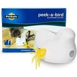Bird Motion Toy