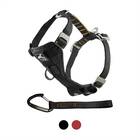 Harness With Seatbelt Tether