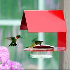 Dieguez Hummingbird Feeder