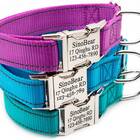 Dog Collar With Pet Name And Contact Info