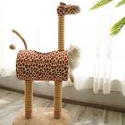 Giraffe Cat Scratch And Tree