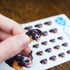 Custom Stickers of Your Dog