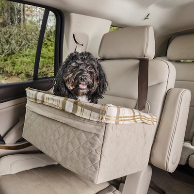 do dogs need a car seat