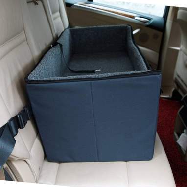 A4 Pet Lookout Booster Car
