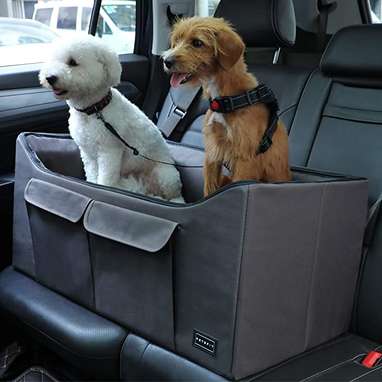 Best for multiple dogs: Petsfit Two-Dog Car Booster Seat