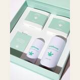 Wildflower Kit