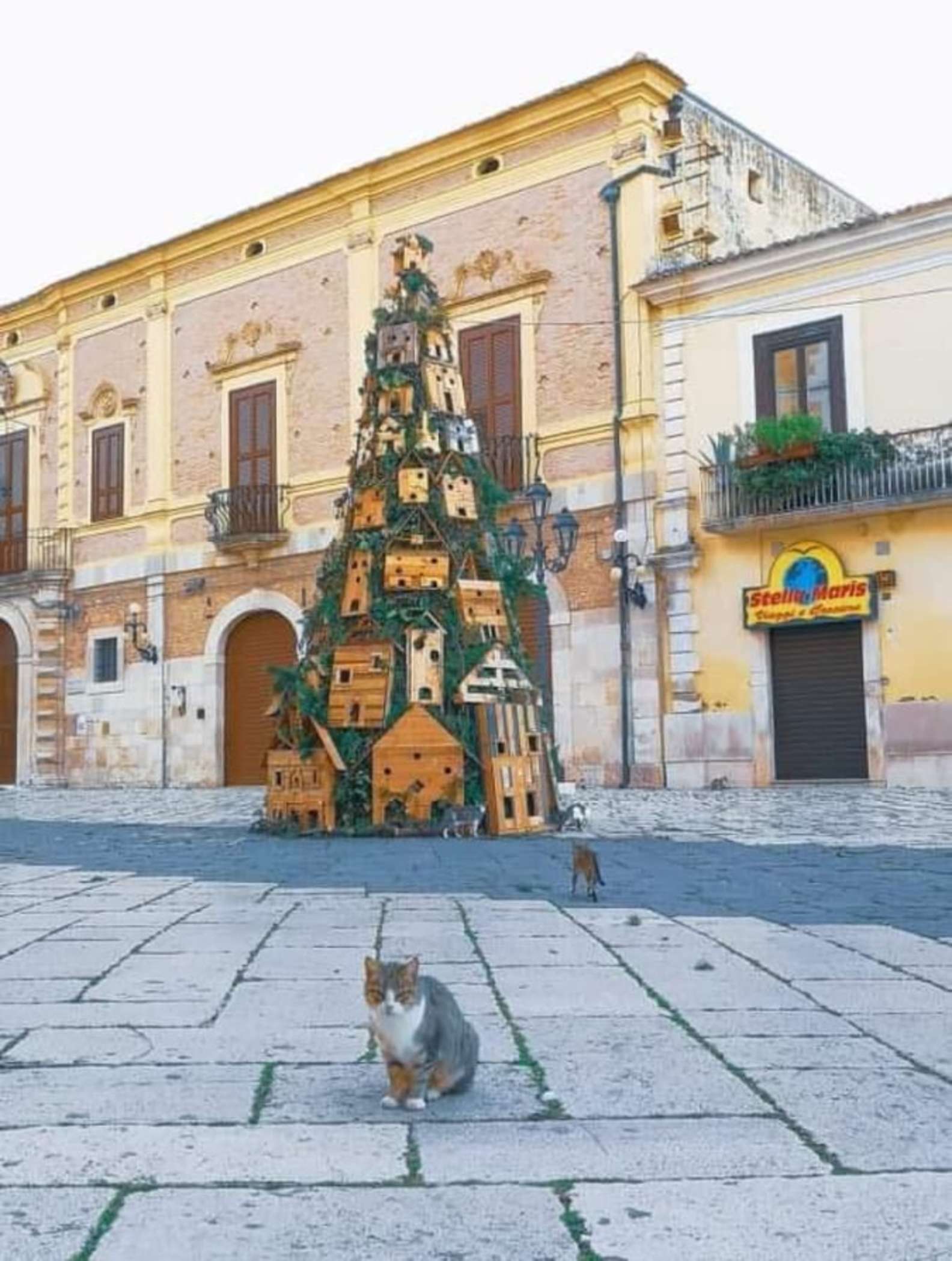 cats in Christmas tree