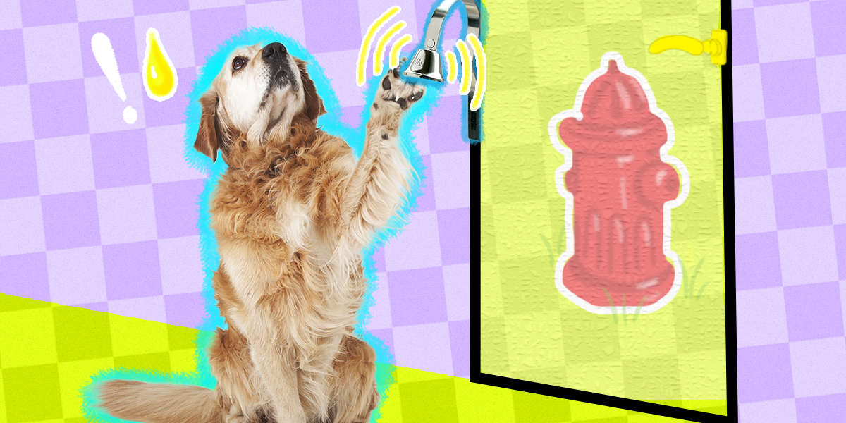 Training Your Dog To Use Potty Bells DodoWell The Dodo