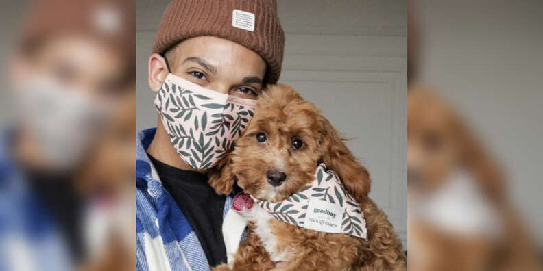 dog bandanas matching face mask