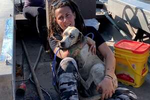 Dog Stranded On Island Melts Into Her Rescuer's Arms