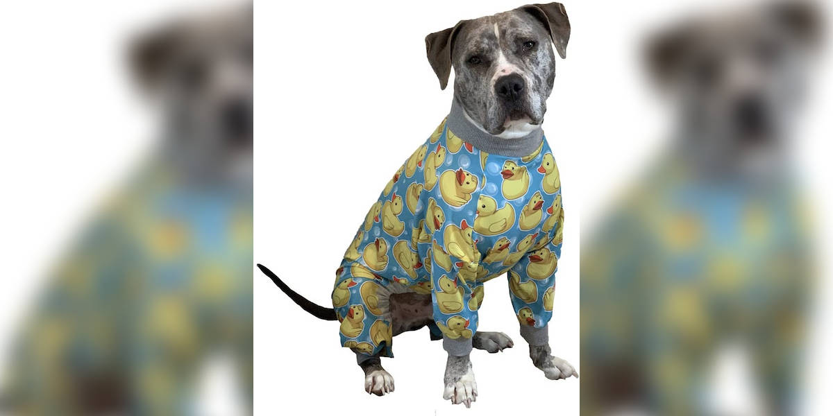 Dog Pajamas, Monkey