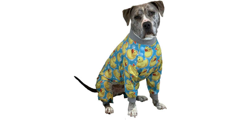 Pittie Pajamas Are A Thing Every Pittie Needs ASAP DodoWell