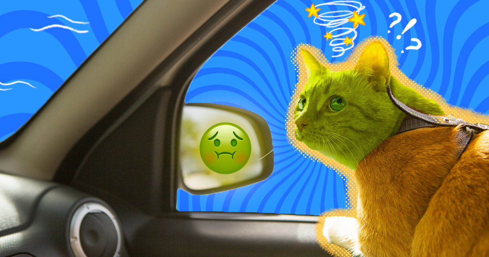 My Cat Gets Carsick DodoWell The Dodo