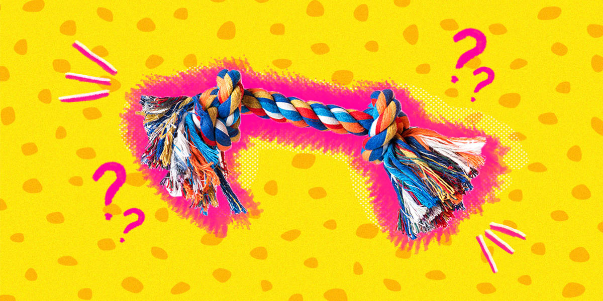 Are Rope Toys Dangerous For Your Dog? - Whole Dog Journal