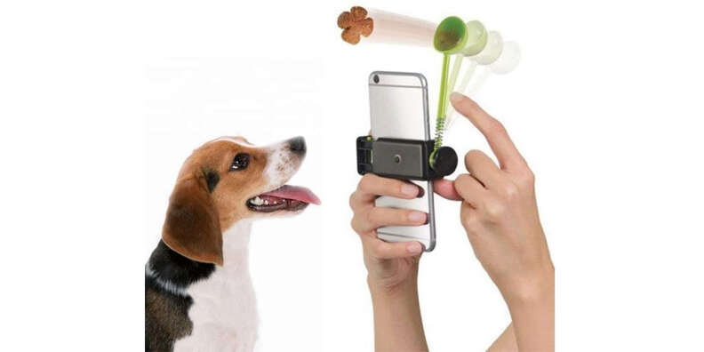 how to take a dog selfie