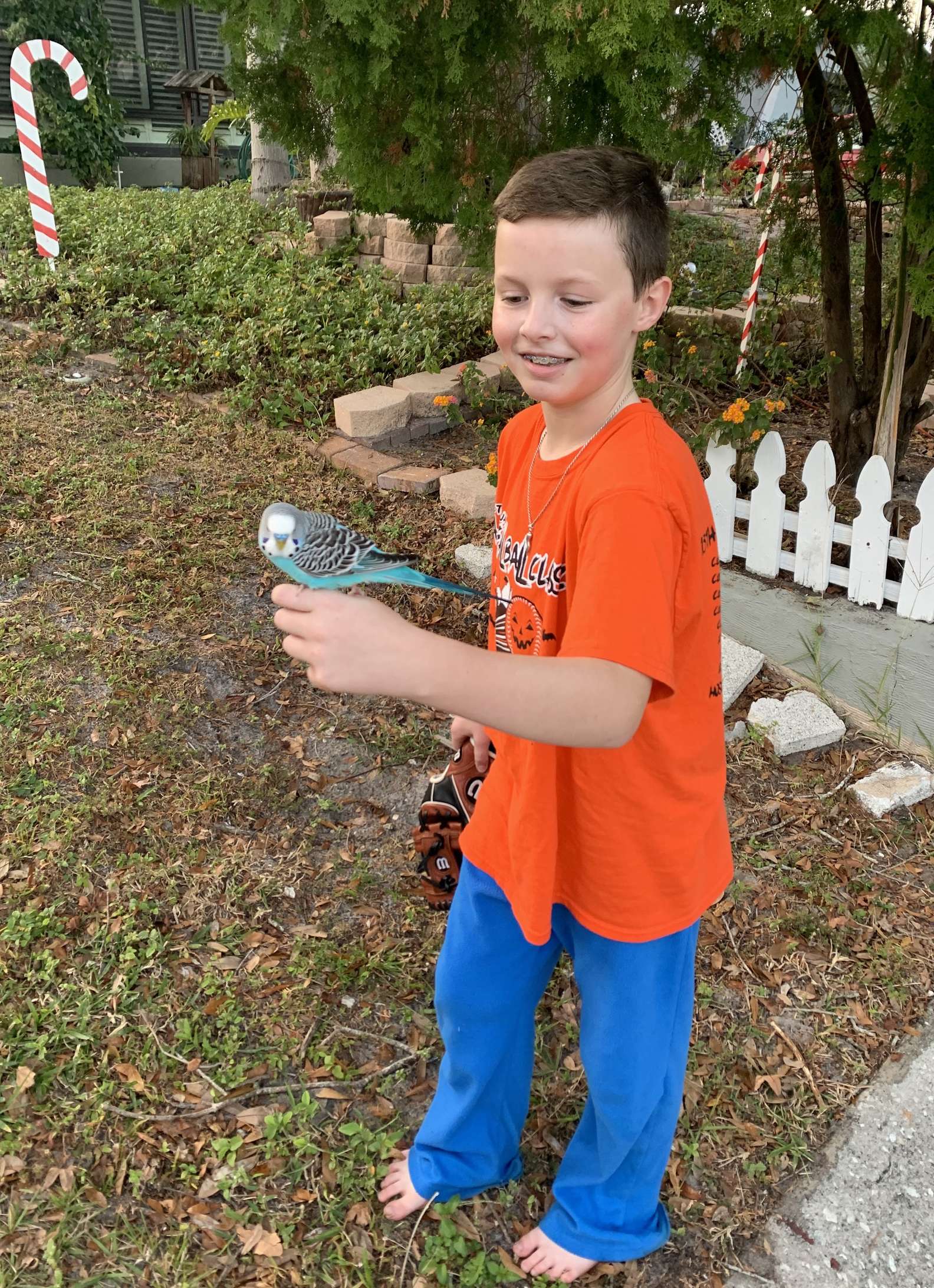 boy and stray parakeet