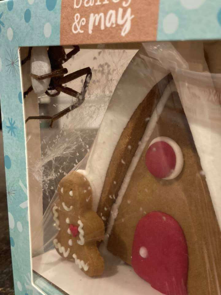 spider in gingerbread house
