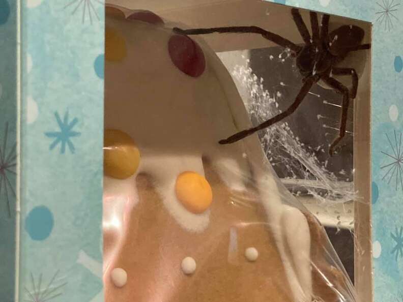 spider in gingerbread house