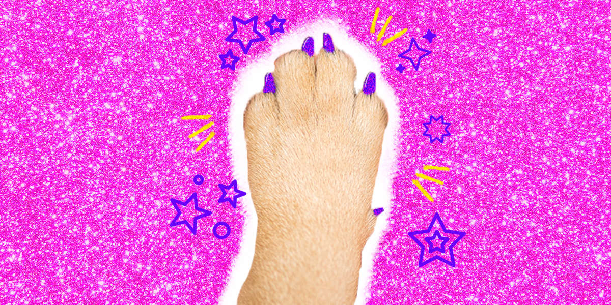 Nail Caps Are A Fun Way To Keep Your Dog Or Cat From Scratching