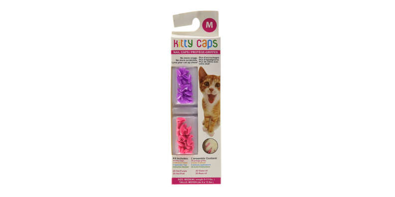 Nail Caps Are A Fun Way To Keep Your Dog Or Cat From Scratching - DodoWell  - The Dodo