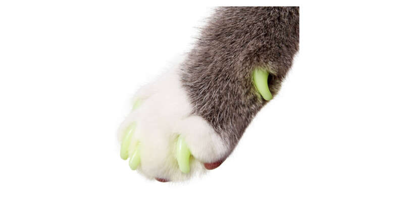 Dog nail tip covers hot sale