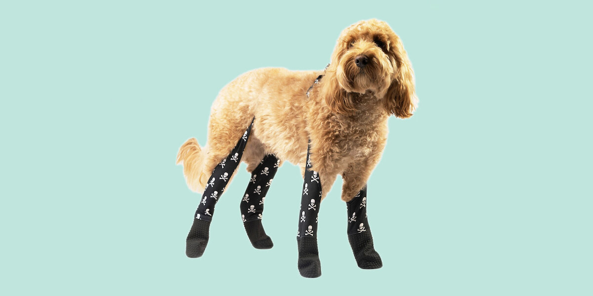 Dog Leg Warmers & Non Slip Socks