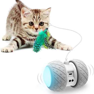 Interactive Robotic Cat Toy