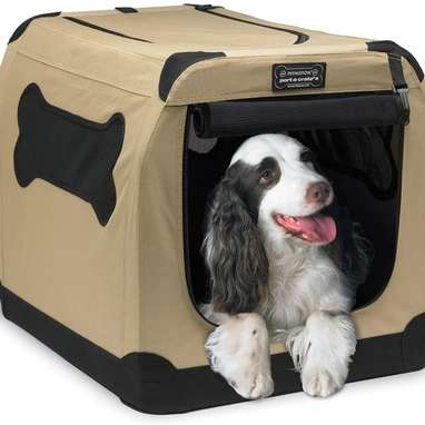 Petnation Port-A-Crate Indoor and Outdoor Home for Pets