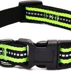 Reflective Dog Collar