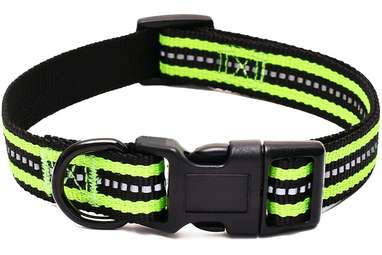 Reflective Dog Collar