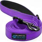 Reflective Nylon Leash