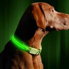 LED Dog Collar