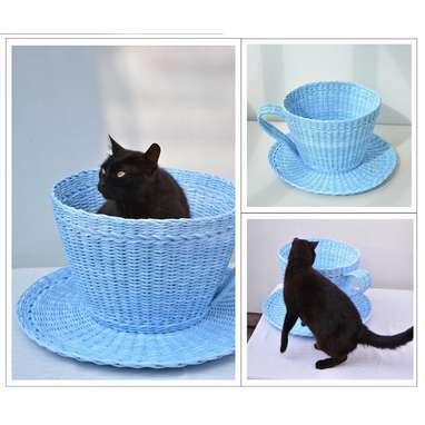 Her very own cat-sized teacup
