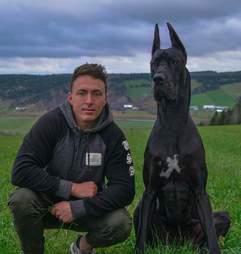 Great Dane looks like Batman