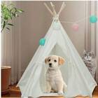 Simple Pet Tent With Mat
