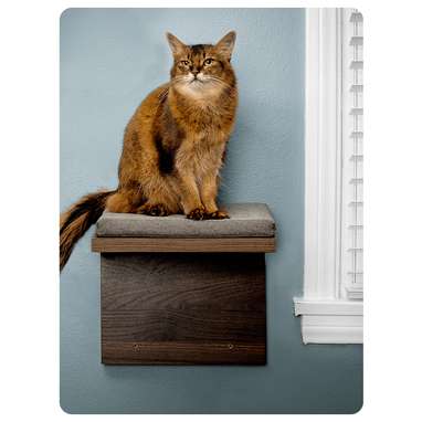 Cat Shelf 2-Pack