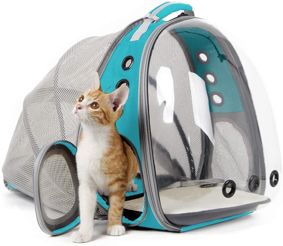 Best cat hot sale bubble backpack