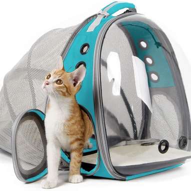 Bubble backpacks cheap for cats